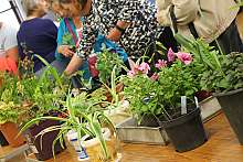 Plant Sale 2018